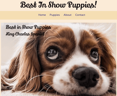 link to the puppies site